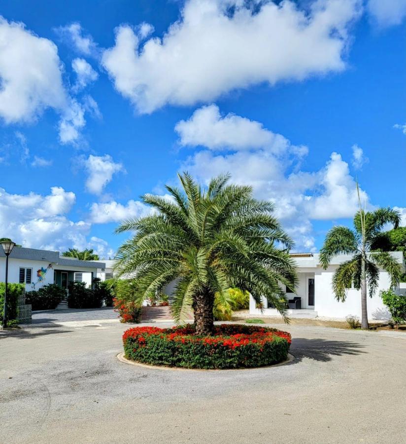 Winstonvalley Resort Willemstad Extérieur photo